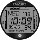 Casio Grey Digital Casio Grey Digital