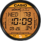 Casio Orange Casio Orange